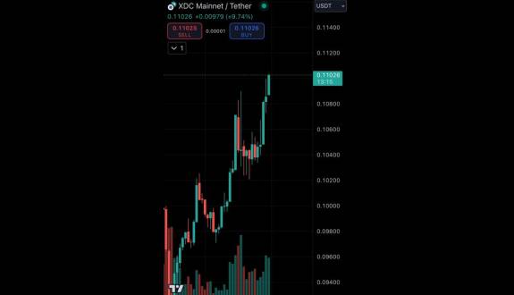 XRP-JayB🐝