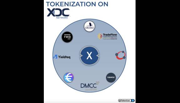 🥖Tokenicer✲⥃⬢