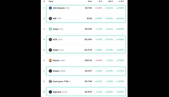 🥖Tokenicer✲⥃⬢