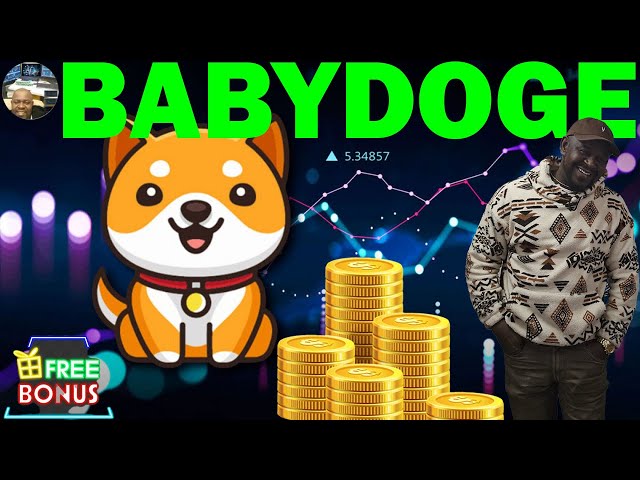 베이비도지 코인 (BabyDoge)