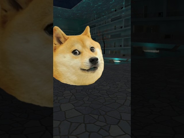 Doge Coin nextbot Gmod 호텔 #반바지