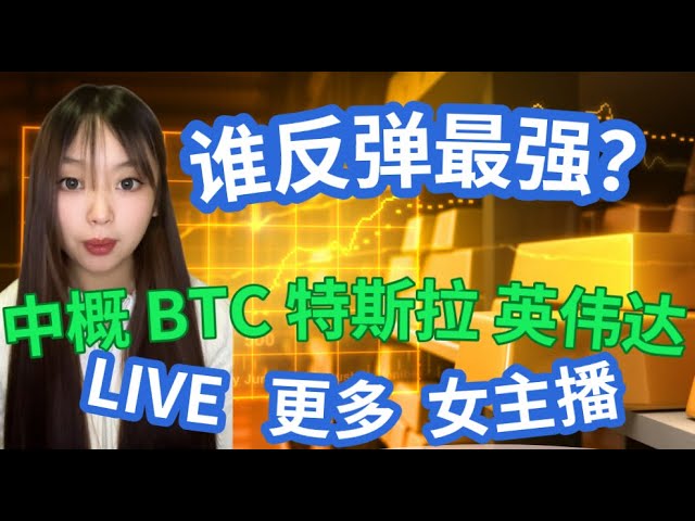 LIVE 美股比特幣中概股特斯拉英偉達，誰反彈最強？