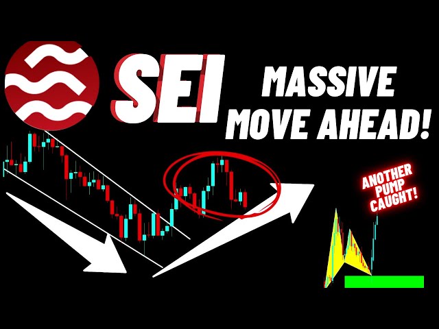 Déplacement massif de la pièce cryptographique SEI à venir !