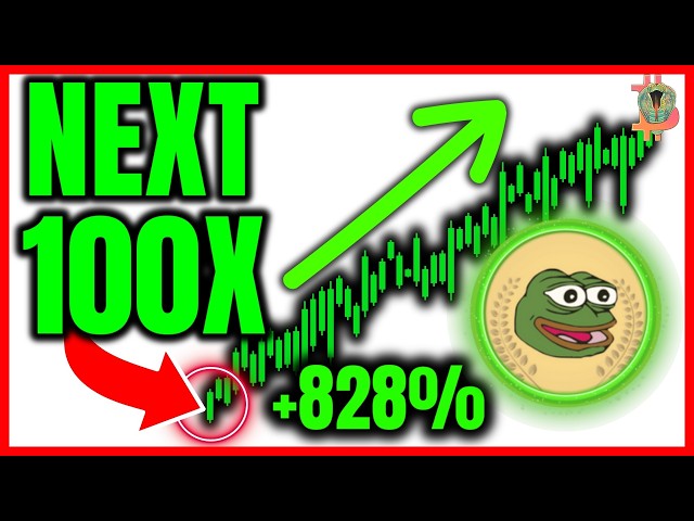 Pepe Meme Coin - PepeMeme Coin 下一个会是 100 倍吗？ （西班牙语）