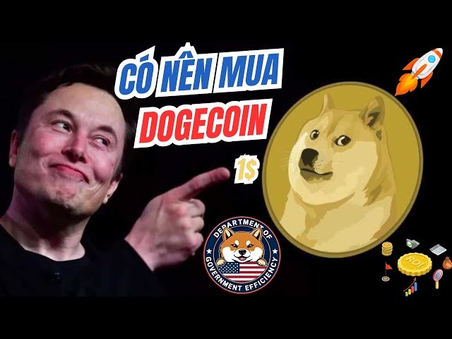 DOGECOIN 급상승 비결, DOGE COIN을 사야 할까?