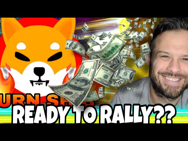 Shiba Inu Coin | SHIB Whales Pouring In And Buying Up SHIB! Expecting An Increase?