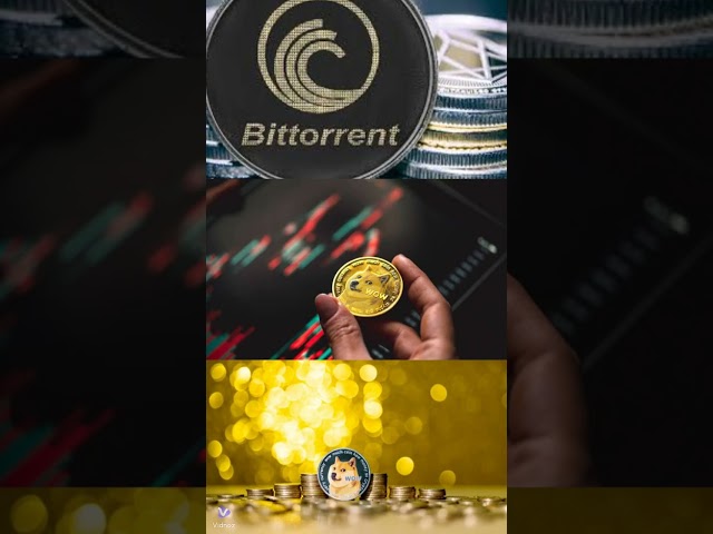 最奇怪的加密貨幣：從狗狗幣到 BitTorrent 幣！ 💥💰