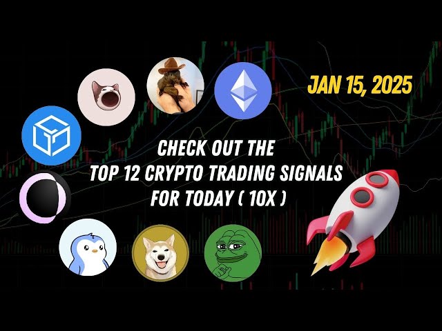 Aujourd'hui, les 12 meilleurs signaux de trading crypto Pièce Floki, Pièce Pepe, Pièce Doge, Pièce Ton, Pièce Brett 15 janvier