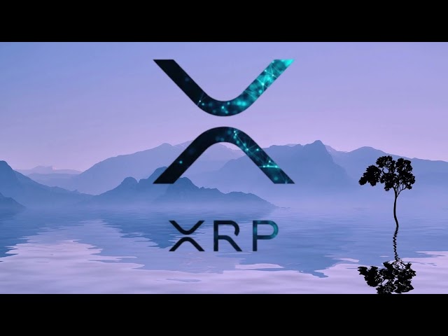 XRP 至 5 美元！价格预测 |去月球