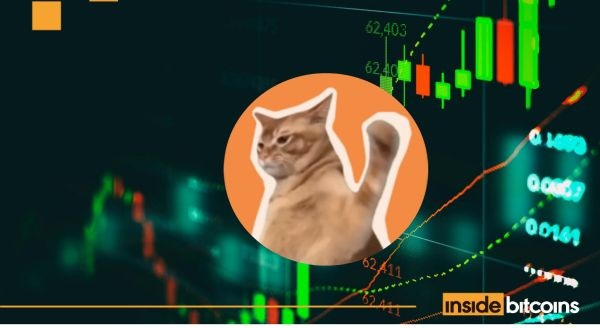 Catslap (SLAP) Will Burn $1 Million Worth Of Tokens At The End Of The Month