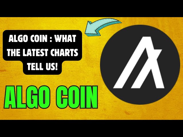 ALGO COIN : DERNIÈRE ANALYSE TECHNIQUE DU MARCHÉ !