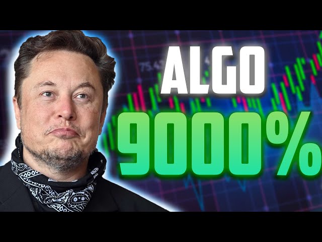 ALGO THE PUMP EVERYONE HAS BEEN WAITING FOR - ALGORAND PRICE PREDICTION & UPDATES