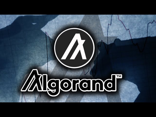 ALGORAND (ALGO) hält bullische Muster!!! Algorand ALGO Preisaktualisierungen und -analysen