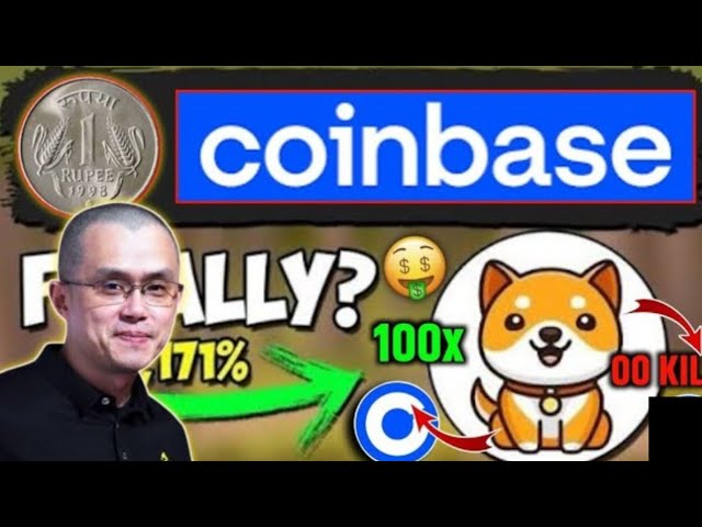 Actualités Baby Dogecoin aujourd'hui | Brûlant | Pompe à prix des pièces BabyDoge 100x | Liste Binance