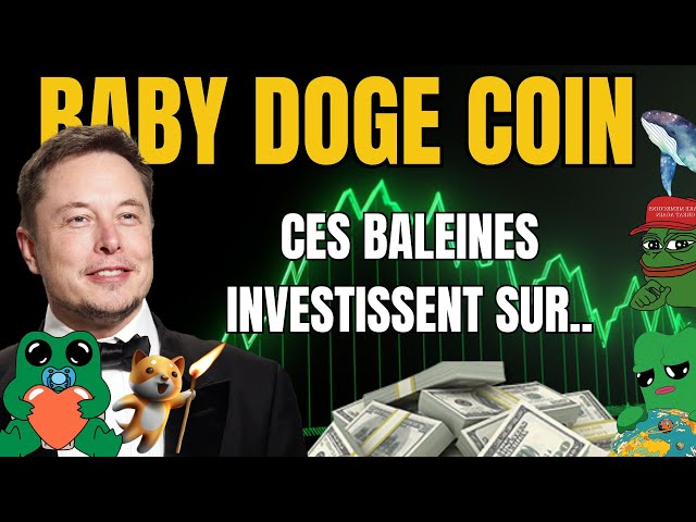 🔥 BabyDoge: Baby Doge Whales are massively buying this crypto (Pepe, Fwog, Baby Fwog...)