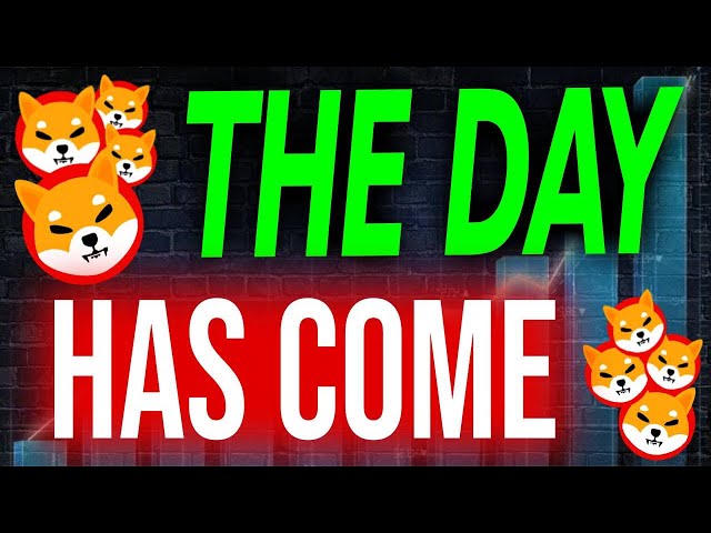 Huge Announcement From Shytoshi Kusama For Shiba Inu Coin Holders!! (No Joke) - Shiba Inu Coin News