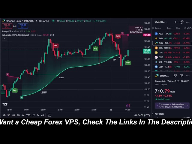 Trading de pièces Binance (BNB) en direct 24h/24 et 7j/7 | Signaux d'achat et de vente | Cryptomonnaie