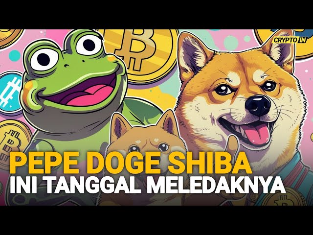 FÜR DIE VON IHNEN, DIE PEPE SHIBA- UND DOGE-MÜNZEN HABEN, BEACHTEN SIE DIESES BESTIMMUNGSDATUM.!!!