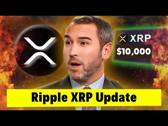 Ripple XRP 更新：巨大发现！ XRP 不适合零售用途！鲸鱼获得 10 亿瑞波币！