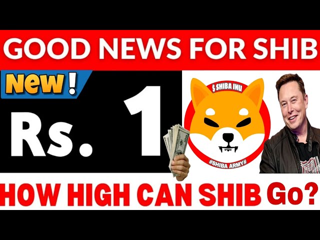 2025년 SHIBA INU 코인 가격 예측: 전문가 분석 및 예측! SHIB이 1달러에 도달할까요? 최신 뉴스