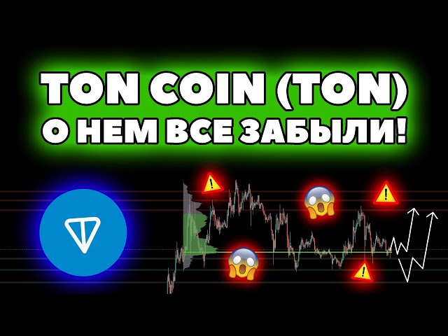 🟢 TON COIN(TON) - 쇼핑지역 가격! 곧 펌프가 나올 거예요!