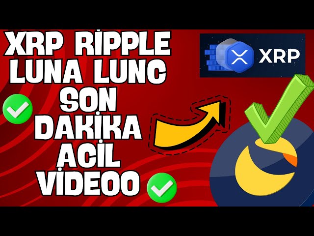 XRP RIPPLE CRITICAL STATEMENT -- LUNA LUNC URGENT VIDEO 🚨🚨 #lunc #luna #xrp #ripple