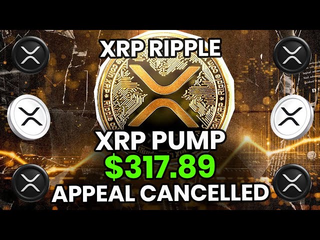 XRP Ripple Ripple SEC 訴訟の控訴は取り消されました – $317.89 ポンプは今すぐ入荷します!今日のXRPニュース