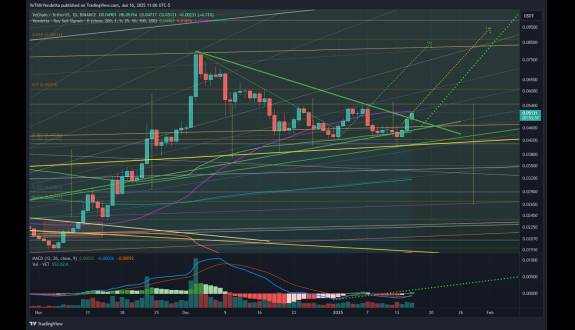 ⓋeThor Ⓥendetta - $VET - OG XNode