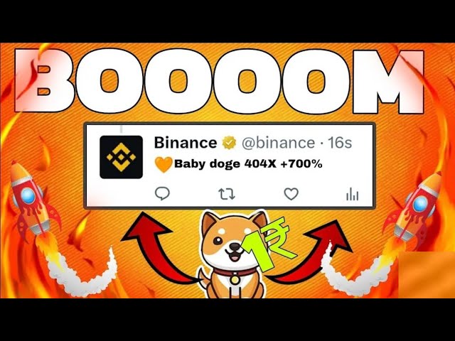 宝贝狗狗币今日新闻 |燃烧| BabyDoge 硬币价格泵 |币安上线