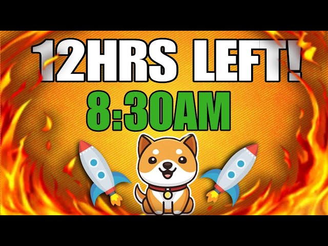 BABY DOGECOIN🤫 이제 폭풍이 올 것입니다 - $0.01 ??😱BRAKING NEWS TODAY PRICE