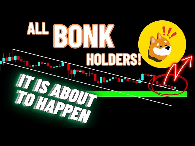 All BONK Crypto Coin Holders! | It is About to Happen