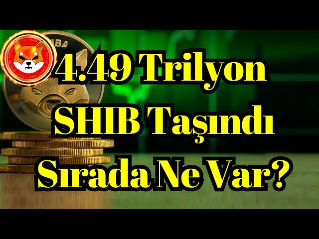 Actualités Crypto Voix | 4,49 billions de jetons SHIB déplacés, quelle est la prochaine étape ?