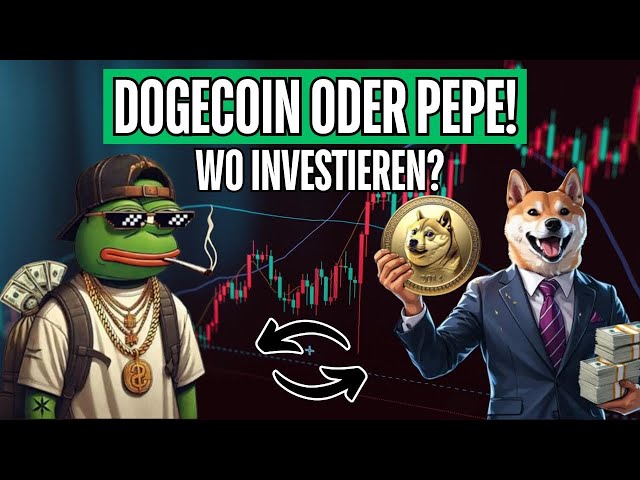 Pepe vs. Dogecoin – 這是終極 Meme-Coin 決鬥！ 🚀💥