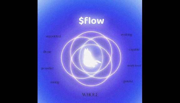 $flow state