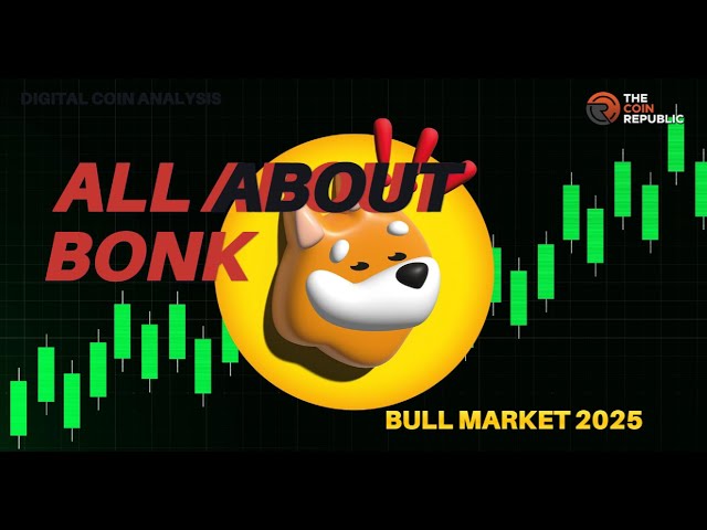 Bonk Crypto Hub-Bonk에 대한 모든 것