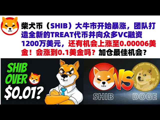 柴犬幣（SHIB）大牛市開始暴漲，團隊打造全新的TREAT代幣並向眾多VC融資1200萬美元，還有機會上漲至0.00006美金！會漲到0.1美金嗎？加倉抄底最佳機會？ #shib幣#柴犬幣#屎幣行情分析