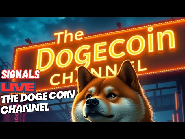 Der Doge-Coin-Kanal