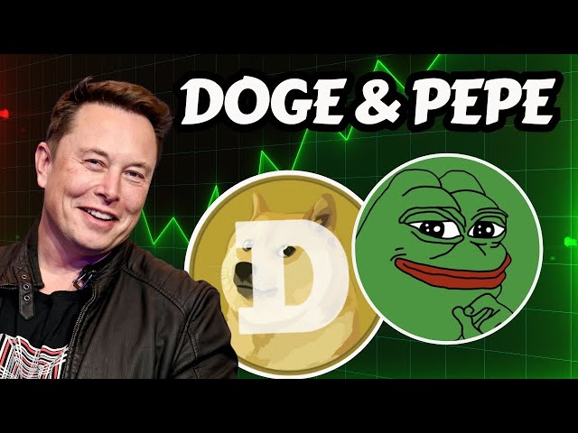 DOGE & PEPE 코인 업데이트 2025 | DOGE & PEPE 암호화폐 10X-50X🤑| 오늘의 MEMES 코인 뉴스 | DOGE 코인 뉴스.