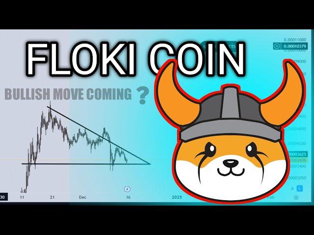 FLOKI Coin Price PREDICTION & Technical Analysis 18 Jan | FLOKI Latest News | FLOKI