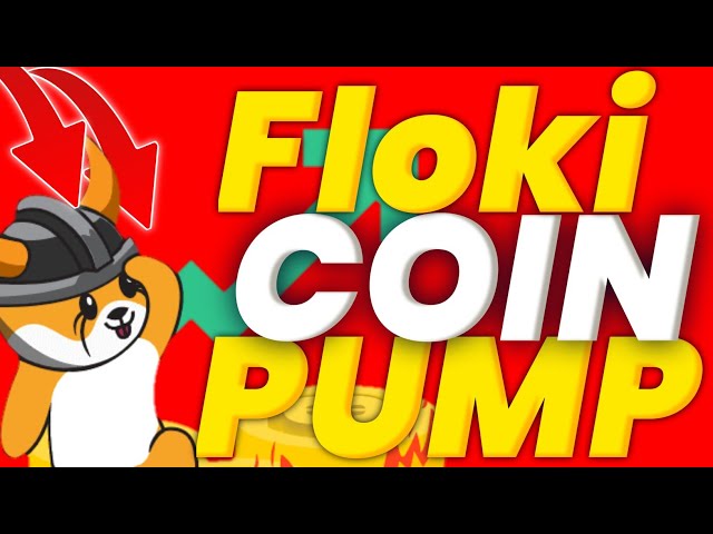 Floki inu coin today | Floki inu coin update today | Floki inu coin news