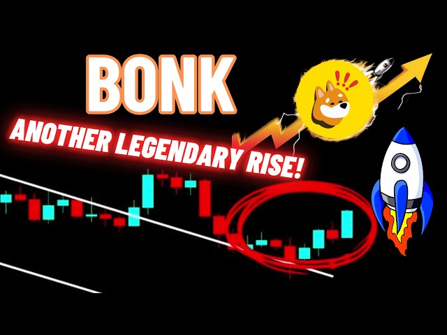 Another Legendary Rise Of BONK Crypto Coin