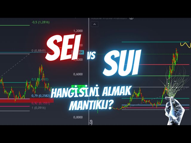 SEI vs SUI Coin 2025 年技術分析與價格預測