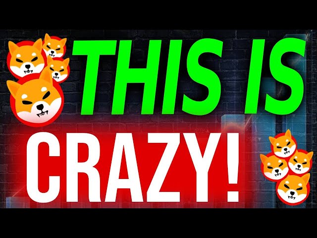 SHIBA INU CEO’S LAST WARNING TO ALL HODLERS!! - SHIBA INU COIN NEWS TODAY