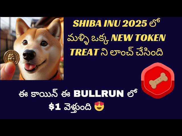 Shiba Inu Coin 推出新硬币 TREAT | #treat Token Next 100X 硬币 |柴犬价格预测