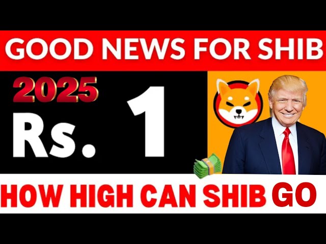 SHIBA INU COIN PRICE PREDICTION 2025: EXPERT ANALYSIS AND FORECAST! WILL SHIB REACH $1? LATEST NEWS