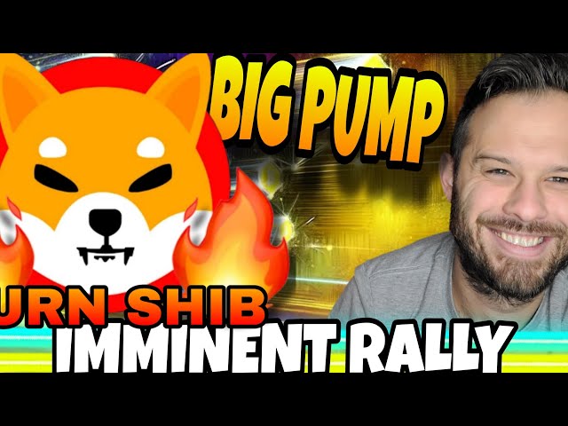 Shiba Inu Coin | A Big Price Pump Is Imminent For SHIB! Time To Pay Attention!