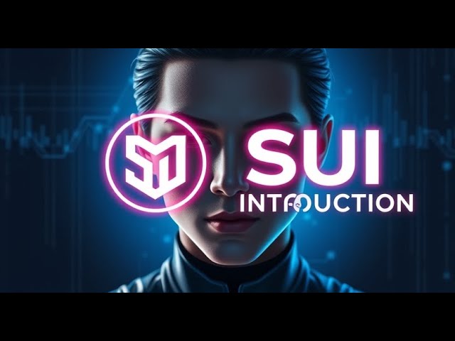 SUI TOKEN!SUI 토큰이란 무엇입니까?어떻게 시작합니까(SUI 토큰 소개)