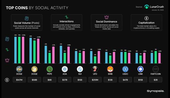 Synopsis Data