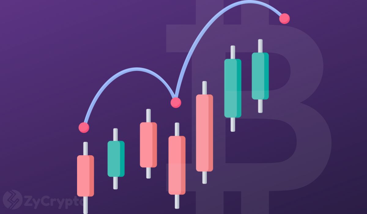 随着鲸鱼积累激增，比特币（BTC）交易者预计更高的价格目标