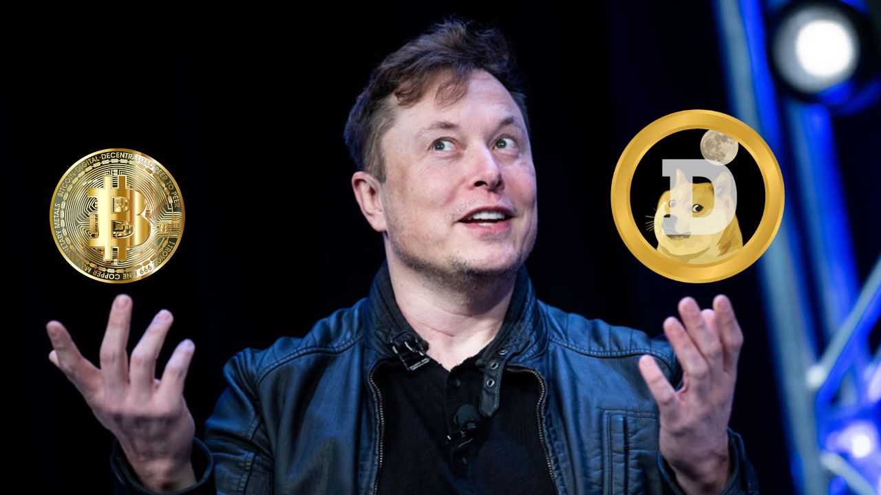 Wie wird sich Elon Musks Dogecoin-Projekt im Weißen Haus auf den DOGE-Preis auswirken?